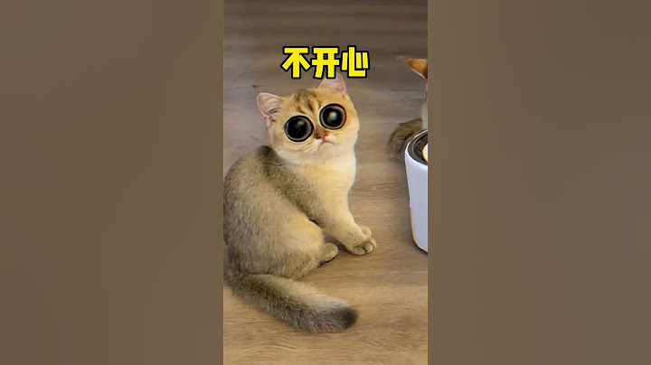 【牛奶是只猫】家里用品都准备的四个   多了个显眼包有点多余哈哈哈