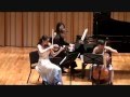 Miniature de la vidéo de la chanson Piano Trio In C Major, Hob Xv:27: Iii. Presto