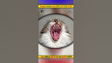 danger animal facts| #facts #shorts #viral #shortvideo #shortsviral #shortsfeed #animals #cat #cats