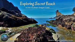Exploring Secret Beach on the Southern Oregon Coast | Relax with Nature in 4k UHD