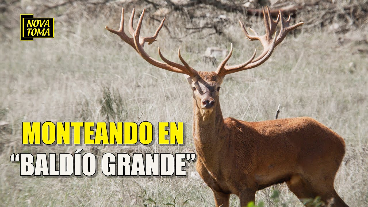 MONTEANDO EN BALDÍO GRANDE