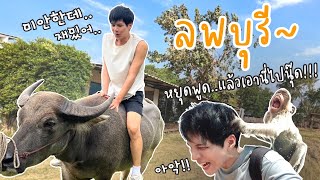 นั่งรถไฟไปลพบุรี | ดูลิง! นอนกลางทุ่ง!