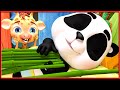 Duermes | Canciones infantiles y ,Bebé Tiburón , Baby Panda- Canciones Infantiles