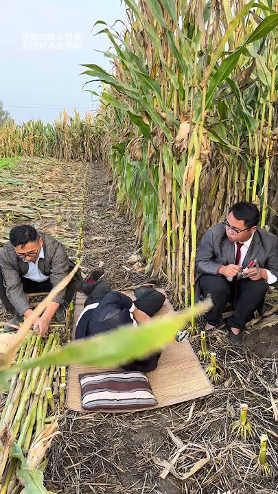 Won't this assembly line operation create a few more jobs? Everyone is busy and there is still w