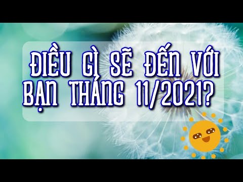 Video: Pháo Hoa Tại Ngôi Nhà Mùa Hè Của Họ