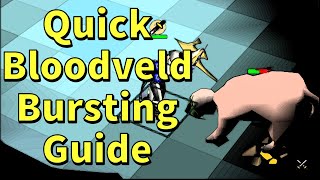 Bloodveld Bursting Lure/Stacking 2022