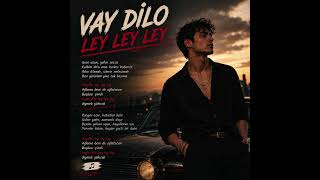 Vay Dilo Ley Ley Ley
