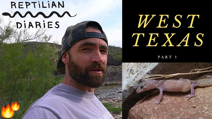 We are herping TEXAS! Reptilian Diaries hits West Texas. Part 1