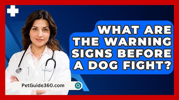 What Are The Warning Signs Before A Dog Fight? - PetGuide360.com