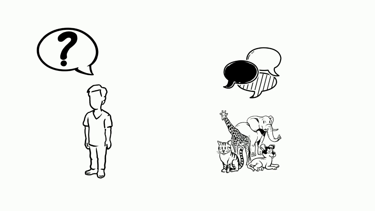 HUMAN LANGUAGE VS ANIMAL COMMUNICATION - YouTube