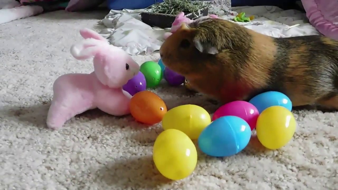 EASTER SHENANIGANS! YouTube