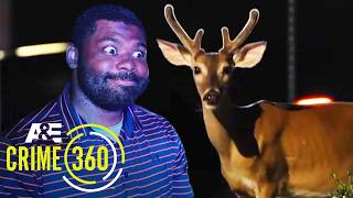 Responding to Vehicle-Deer Collision | Ozark Law | Crime 360