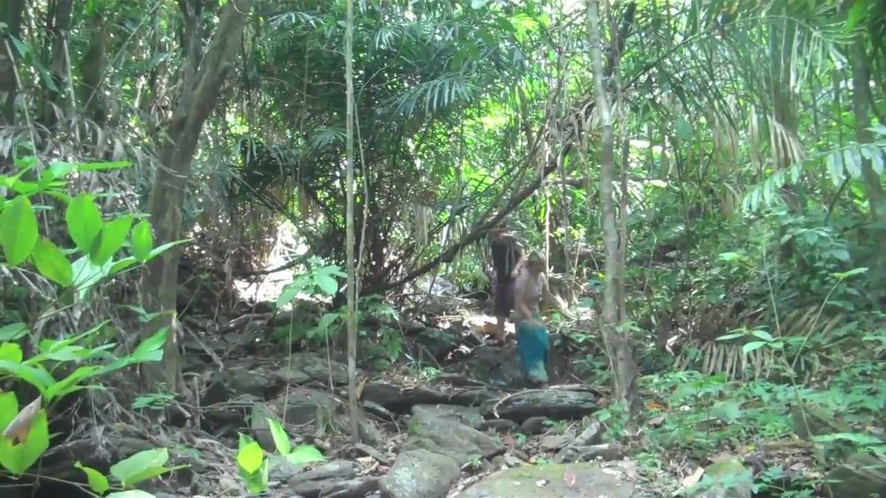 The Jungle of Koh Ra HD - Ep. 4 - Technomads Roving Thailand