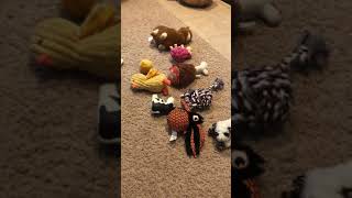 Math Lesson 33 Video 1