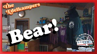 Bear Cave Campground in Buchanan, Michigan