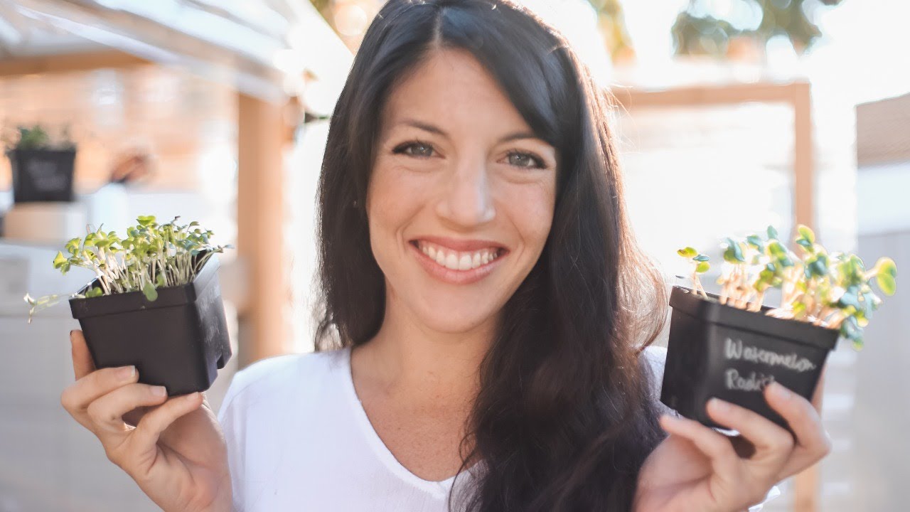 Live Chat From The Mobile Greenhouse (take 2)