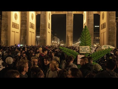 Hunderte protestieren gegen Tesla-Ausbau in Brandenburg