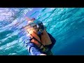 Snorkeling The Keys