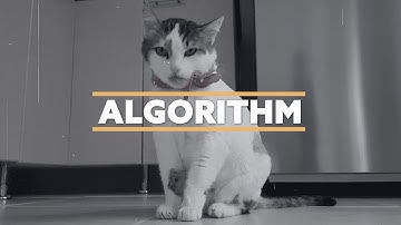 Inside the Algorithm — How It’s Steering Your Mind