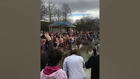 Plunge into the new year- pledging to prevent suic...