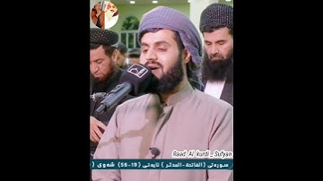 Raad Al kurdi Whatsapp status _ سورة المدثر الشيخ رعد بن محمد الکردى