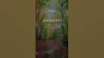 سوره الماعون أيات مرتبات بصوت جميل جداً 🍁🍂🌺🕌