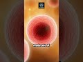 Is LIFE just a complex program? The unexpected link between ancient chemistry and computer evolut...