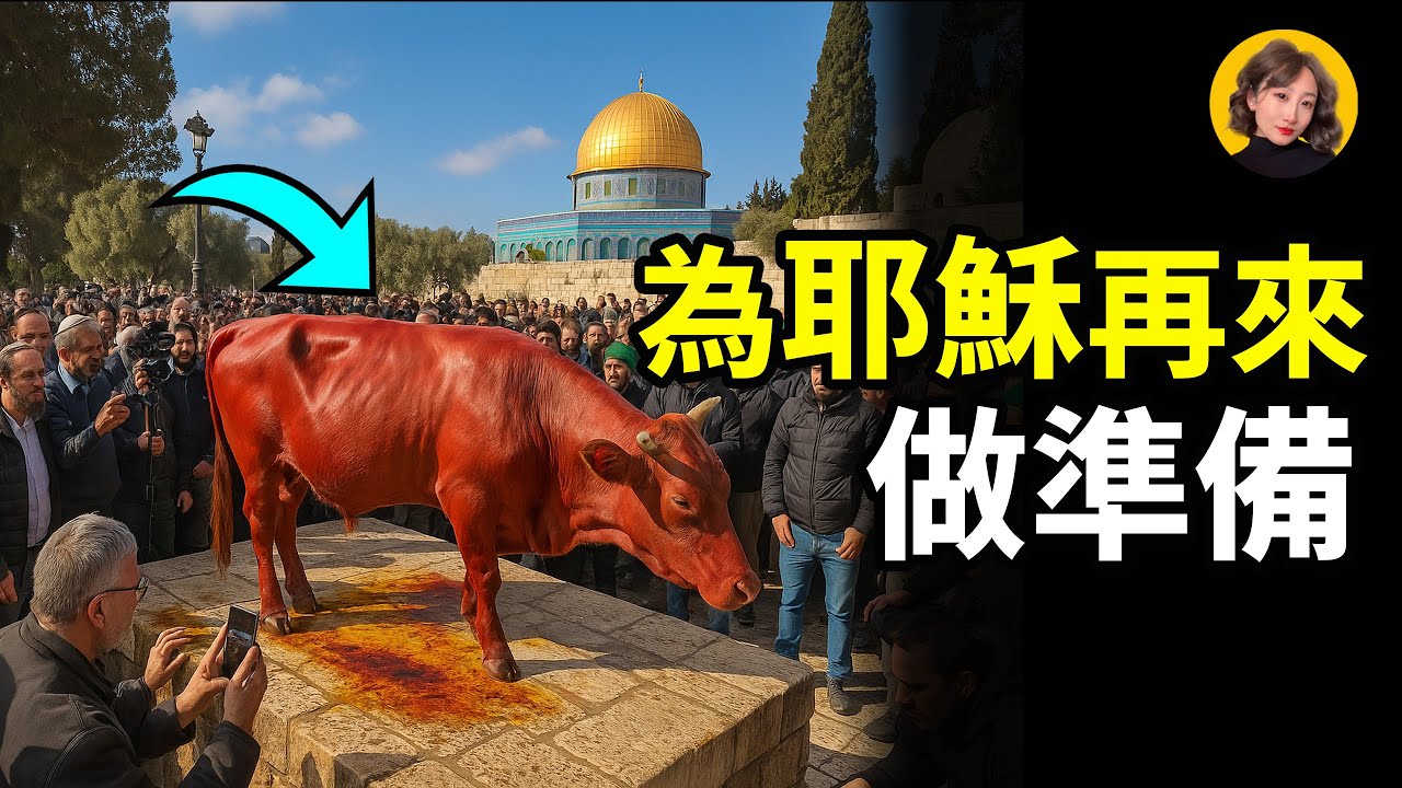 耶路撒冷為耶穌的再來！做準備！第三聖殿，末日預言，已經開始了... |小璟叨叨