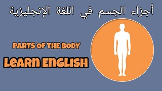 تعلم اللغة الانجليزية : مفردات أجزاء الجسم في اللغة الانجليزية Parts of the body ( complete )