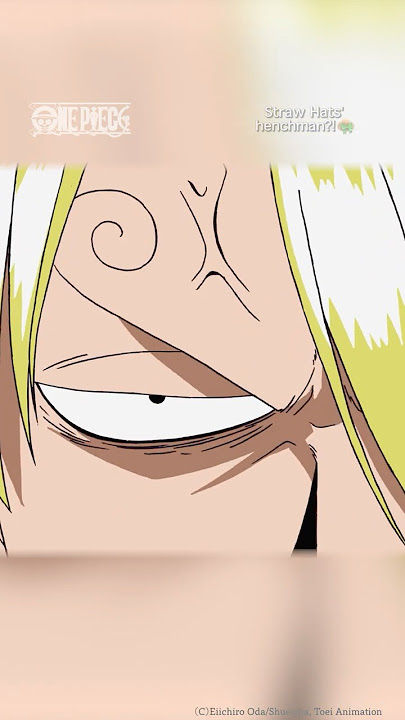 Straw Hats' henchman?!👒 | #ONEPIECE #Anime #short #English #Zoro #Sanji #Chopper #SniperKing