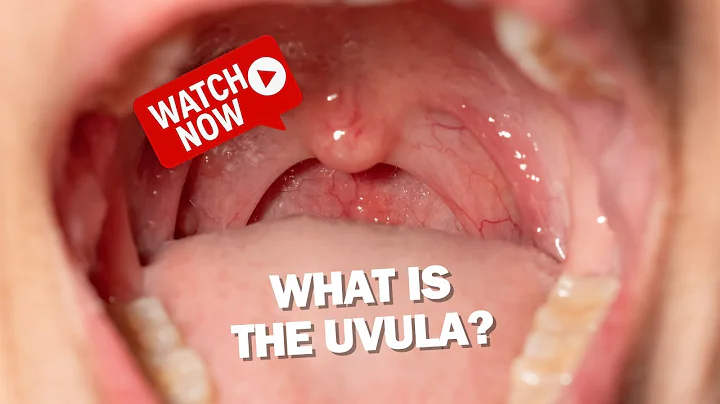 Everything You Need to Know About the Uvula