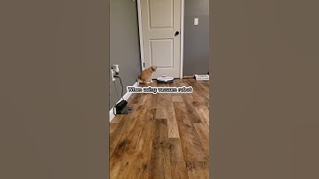 Máy hút bụi vs Robot hút bụi