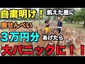 【奈良公園】鹿せんべい３万円分あげたら・・・Oops! It was chaos!!Because I had too much foods to feed the reindeers!