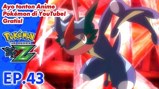 Pokémon the Series: XYZ | EP43 Membentuk Kesatuan Yang Lebih Sempurna! | Pokémon Indonesia