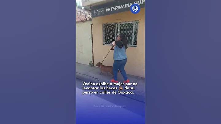 💢"Me quiere viøląr", acusa mujer falsamente a vecino q la exhibió x no levantar las heces d su perro