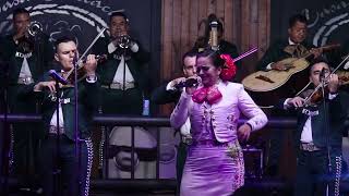 Maldito sea tu amor .  Sandra Guevara &amp; Mariachi MexicoSon