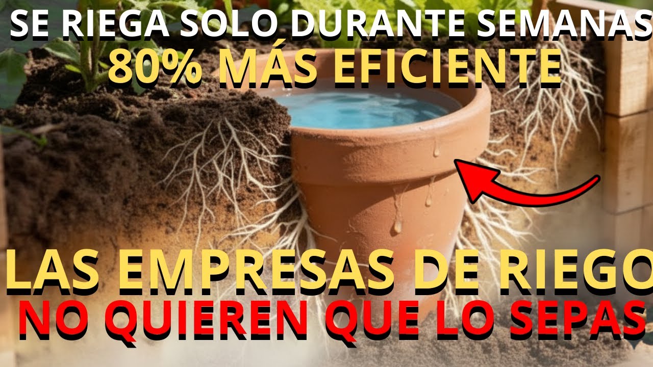 La técnica china de 2,000 años que acabará con tu dependencia del riego.