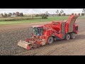 Harvesting potatoes with Holmer | Holmer Terra Melix 2020 | Three ever built | Pure sound