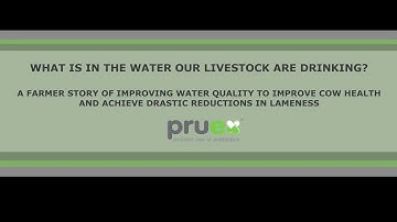 Improving water quality to reduce bacterial burden on cows