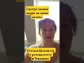 Бесплатно учиться в университете в Германии #германия #обучение #німеччина #европа
