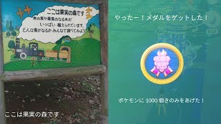 ポケモンgo きのみ名人 金 を果実の森で達成 Youtube ポケモンgo きのみ名人 金 を果実の森で達成 Youtube