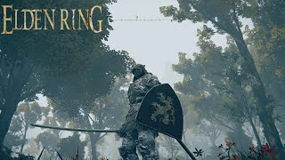 How to use ashes of war on weapon while a shield is equipped too - Elden Ring