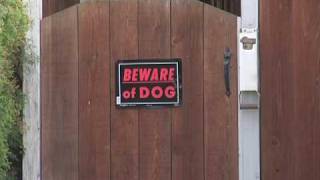 Pit Bull Attack Has An Interesting Twist