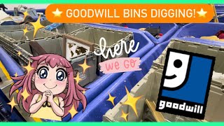 Come With To The Goodwill Bins! Thrift With Me! Thrifting For Resale on EBay! ++HAUL