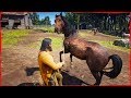 Red Dead Redemption 2 Free Roam Random gameplay Adventures with John Marston #14