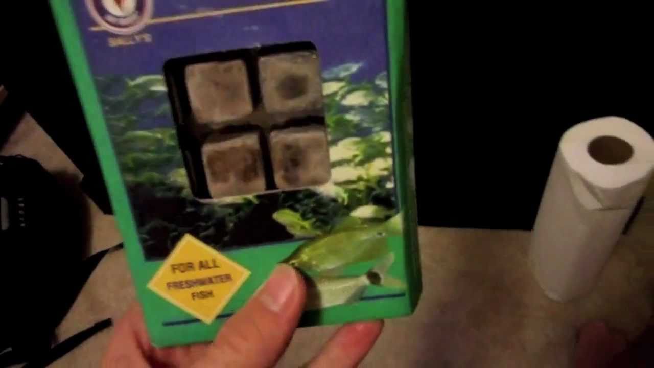 Feeding Frozen Fish Food Cubes To My 30 Gallon Tropical Freshwater Tank