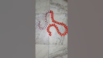 Asmr | Domino Effect Taking Over The Internet #562