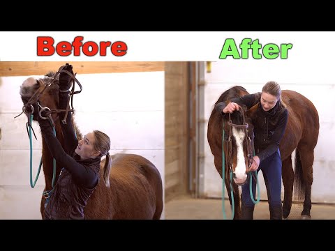 Horse's bridle falls off half way through show jumping round | Paris 2014