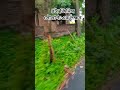 #waz #new #islamicknowledg #youtube #motivation #mijanur_rahman_ajhari #automobile #nature #shorts