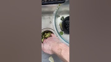 EXACTLY how to use a garbage disposal